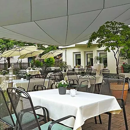 Hotel-gasthaus Adler 酒店 肖普海姆